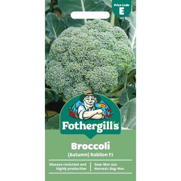 Mr Fothergills Broccoli (Autumn) Babilon F1