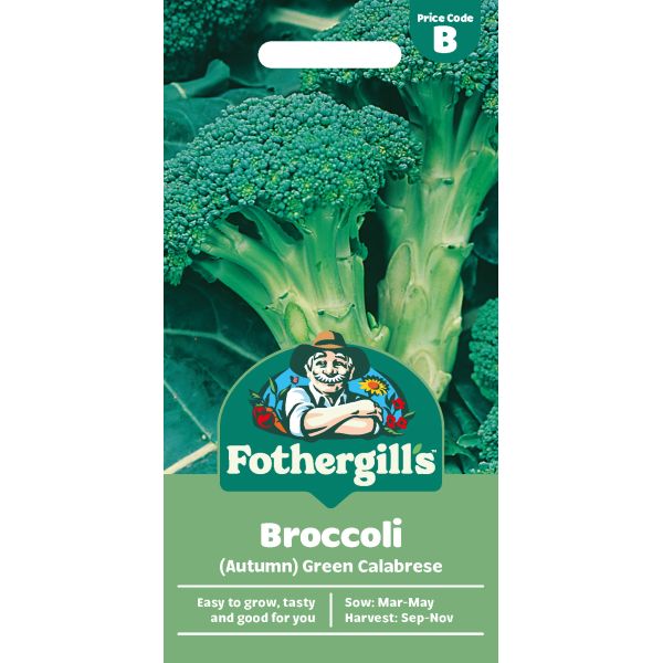Mr Fothergills Broccoli (Autumn) Green Calabrese