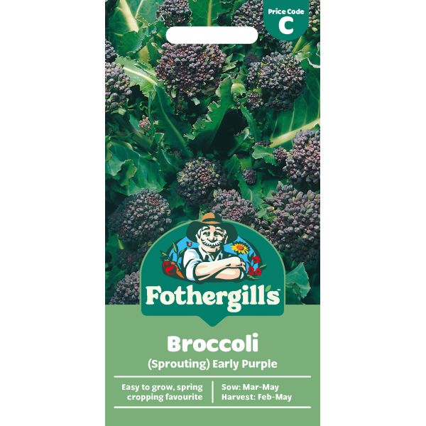 Mr Fothergills Broccoli (Sprouting) Early Purple