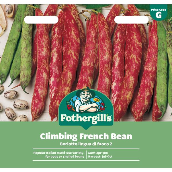 Mr Fothergills Climbing French Bean Borlotto Lingua Di Fuoco 2