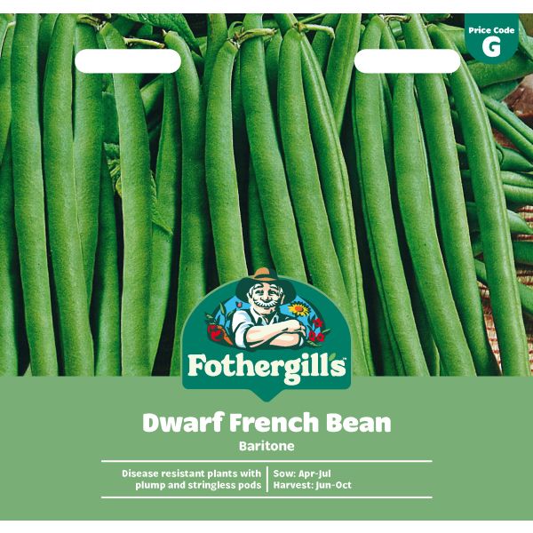 Mr Fothergills Dwarf French Bean Baritone