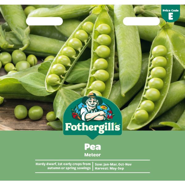 Mr Fothergills Pea Meteor
