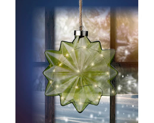 Lumineo Micro LED Flower BO Indoor Green/Warm White 19cm
