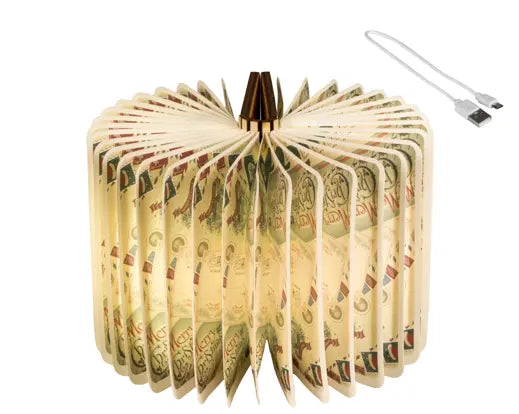 Lumineo Light Up LED Paper Book Warm White & Cool White 12cm