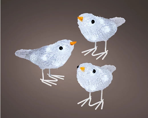 Lumineo LED Acrylic Bird