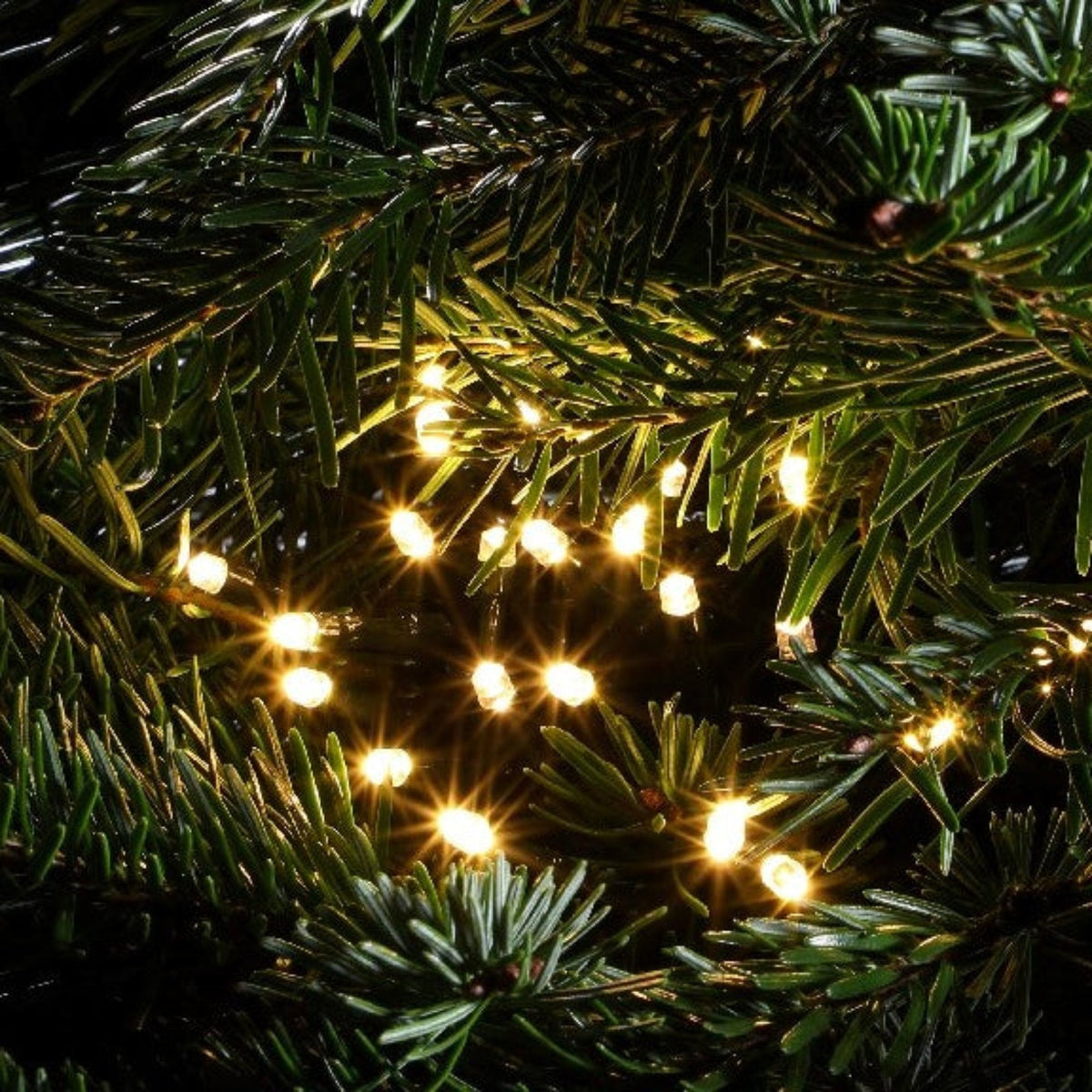 Noma Multifunction String Lights Warm White With Green Cable