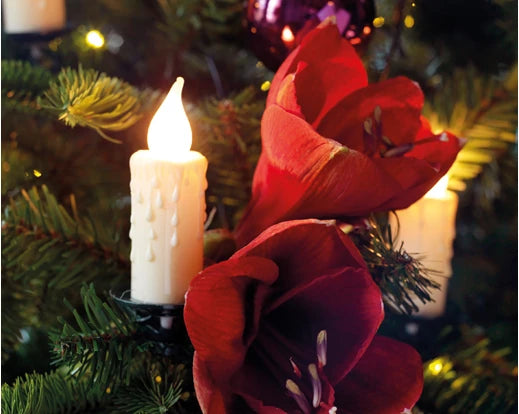 Kaemingk LED Candle Lights Indoor Classic White L1160cm