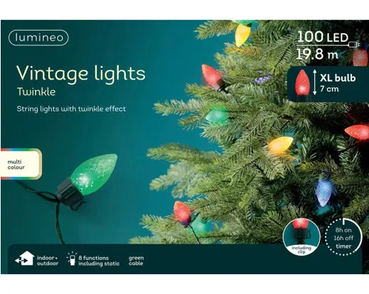 Lumineo Vintage Lights Multi Colour XL Bulb Indoor/Outdoor 100 LED 19810cm