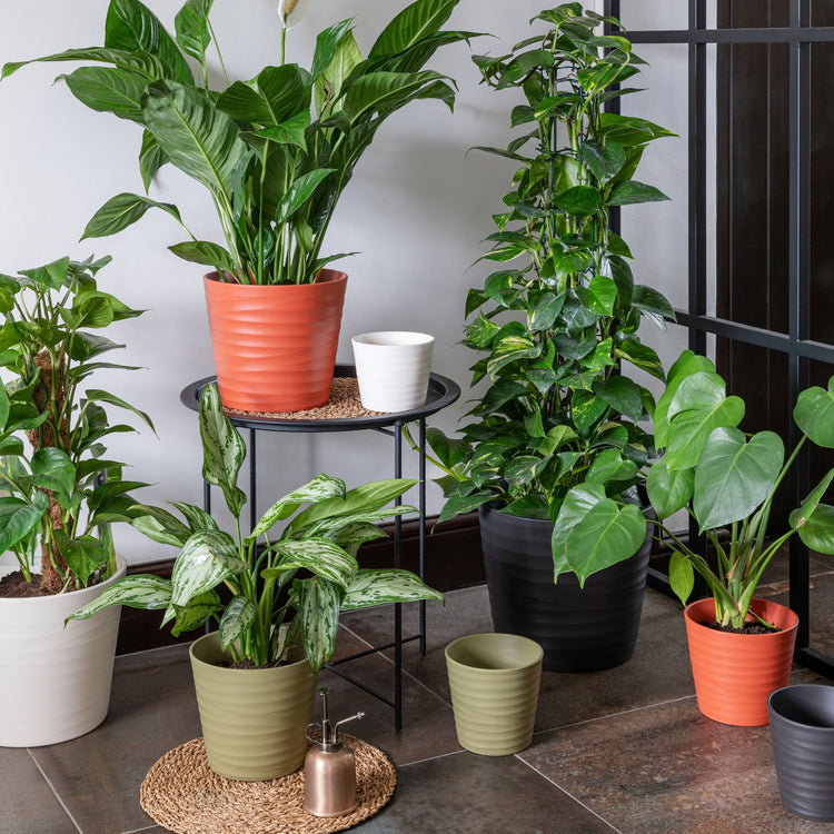 Ivyline Oslo Cayenne Taper Planter