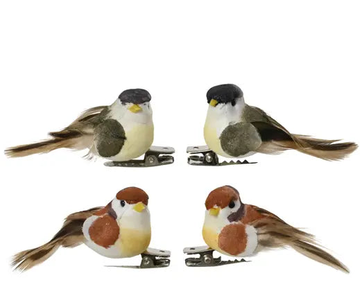 Decoris Bird Feather Clip On 5cm Single Assorted