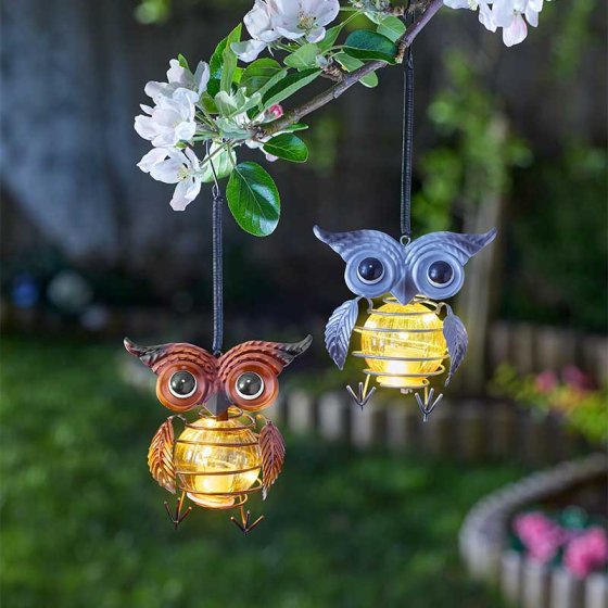 Smart Garden Owl Light