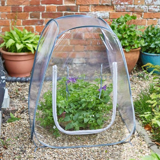 Smart Garden Pop-Up GroZone 80 x 70 x 70cm