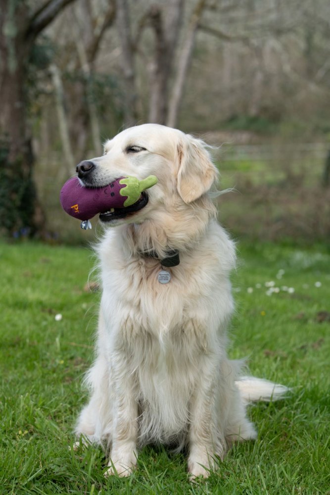 Petface Greenfingers Fluffy Aubri Aubergine Plush Dog Toy