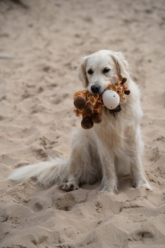 Pet Face Planet George Giraffe Plush Dog Toy