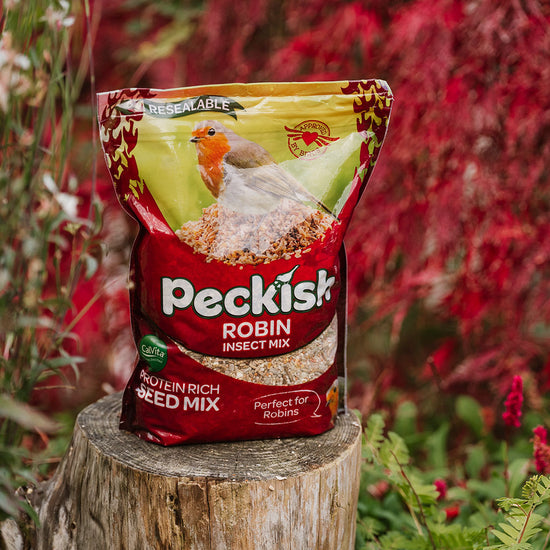 Peckish Robin Insect Seed Mix 1kg