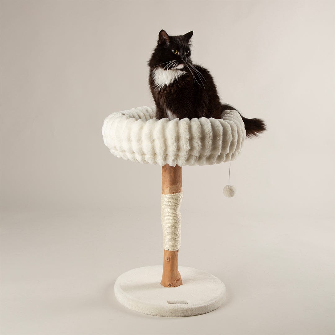 Scruffs Appalachians Cat Scratching Tree Cream