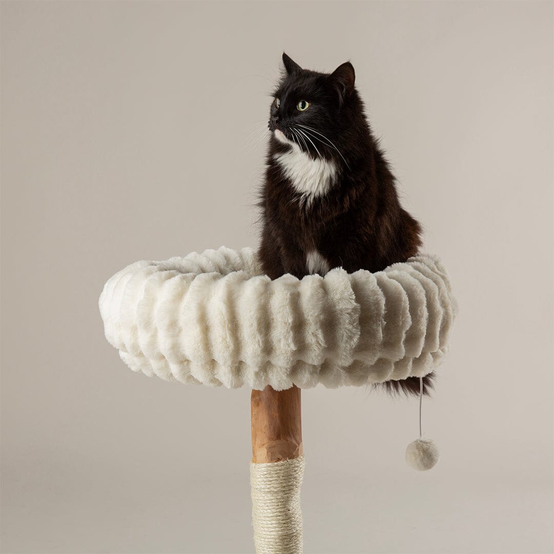 Scruffs Appalachians Cat Scratching Tree Cream