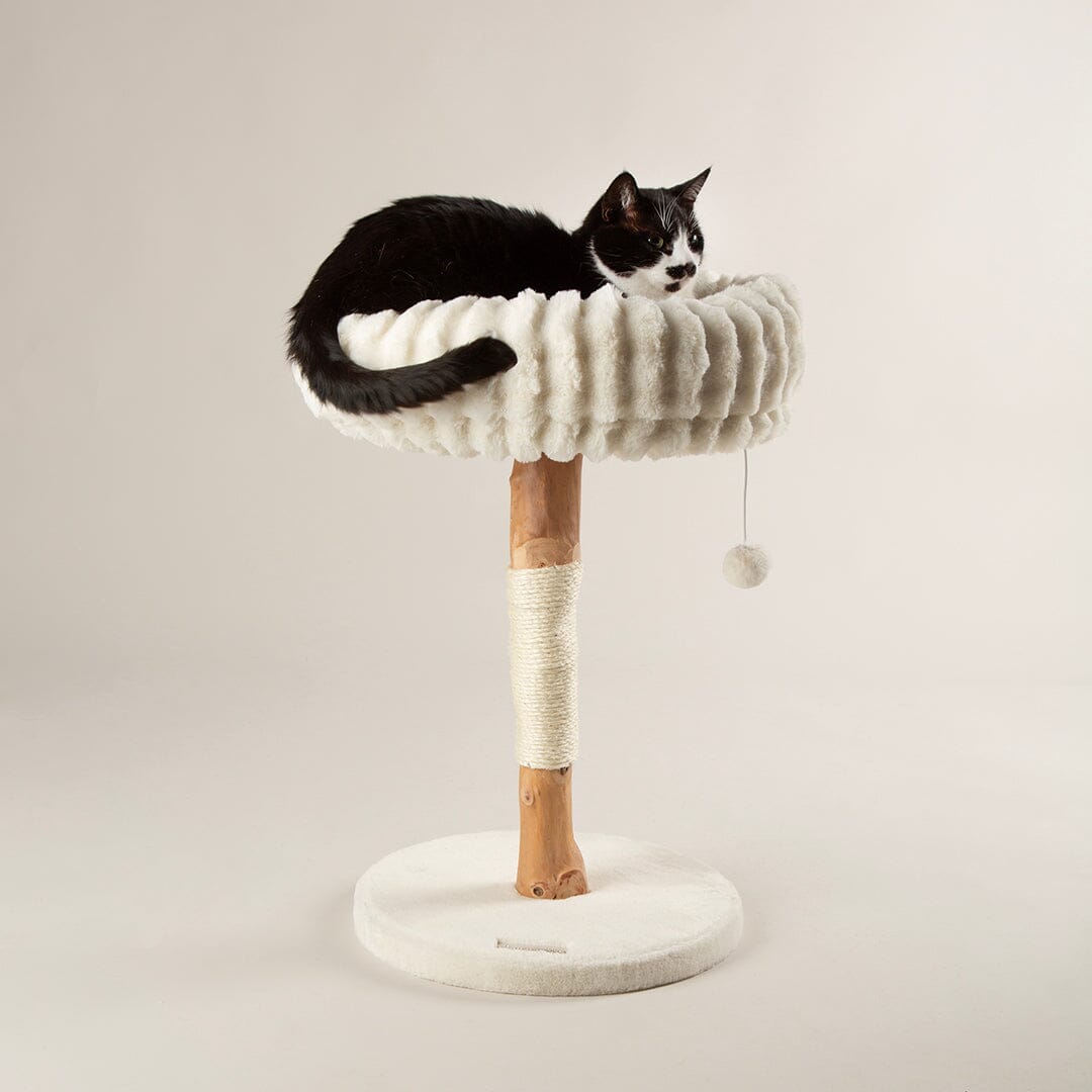 Scruffs Appalachians Cat Scratching Tree Cream