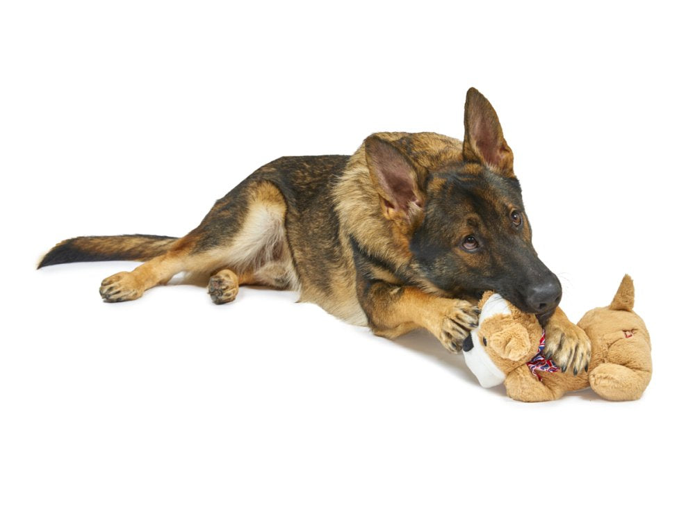 Pet Face Buddies Bailey The Bulldog Plush Dog Toy