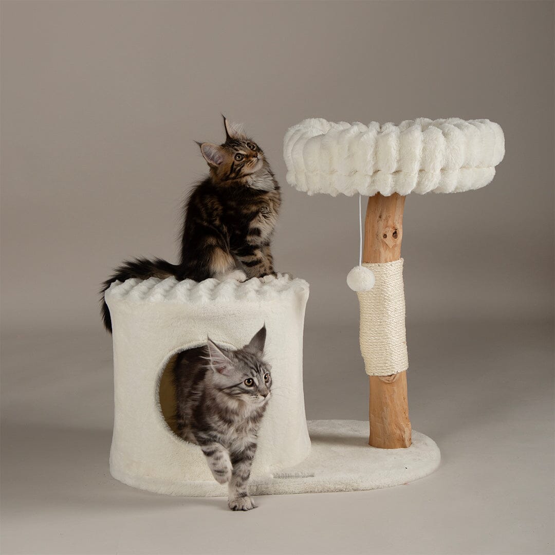 Scruffs Himalayas Cat Scratching Tree Cream