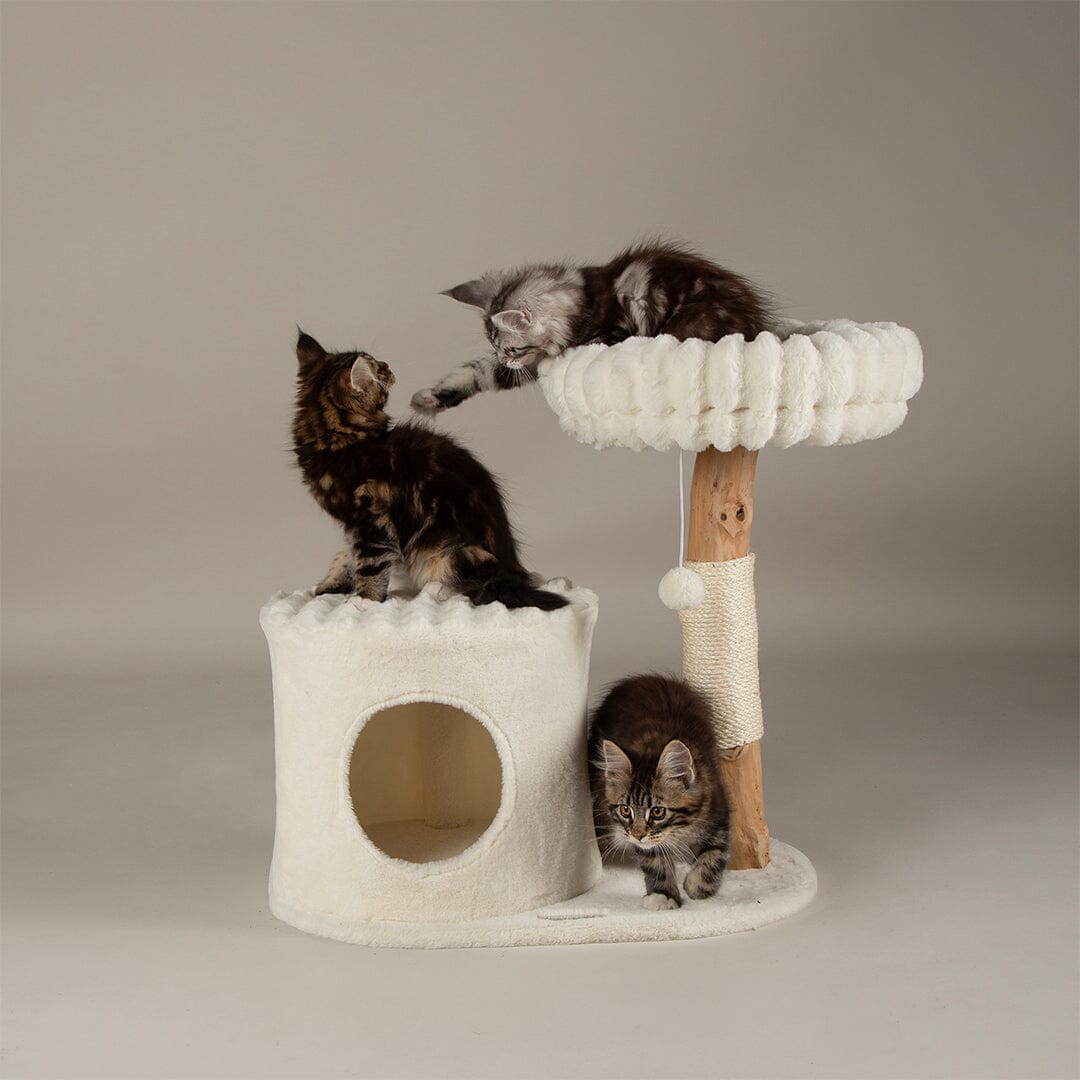 Scruffs Himalayas Cat Scratching Tree Cream