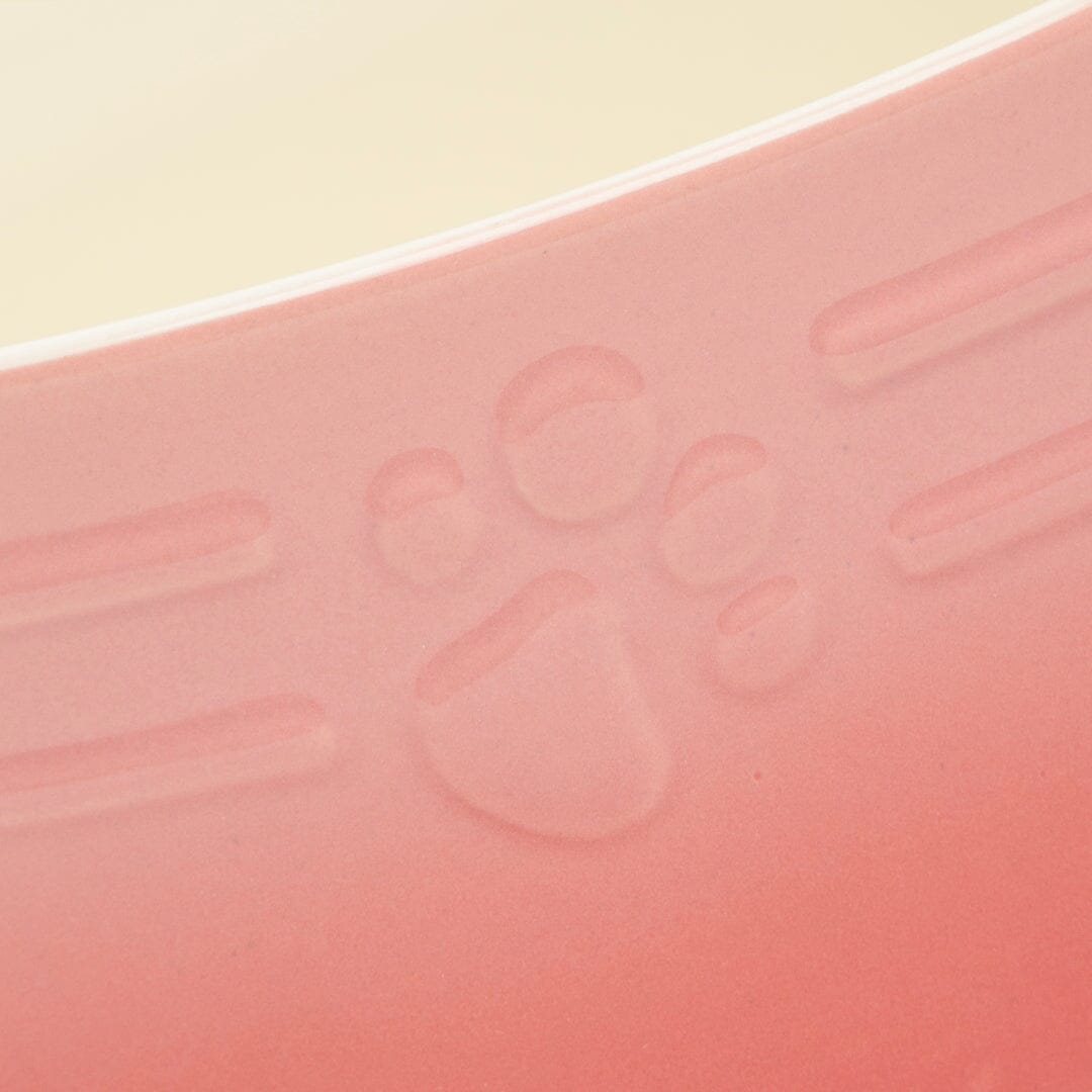 Scruffs Ombre Food Bowl Pink