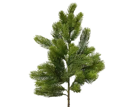 Spray Indoor Green