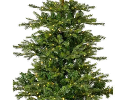 Everlands Lit Grandis Fir Green & Warm White