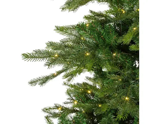 Everlands Lit Grandis Fir Green & Warm White