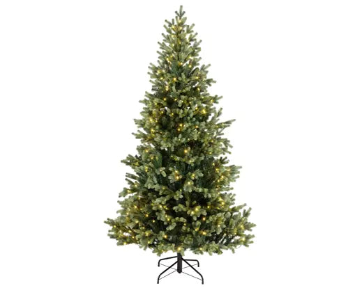 Everlands Lit Geneva Fir Green & Warm White