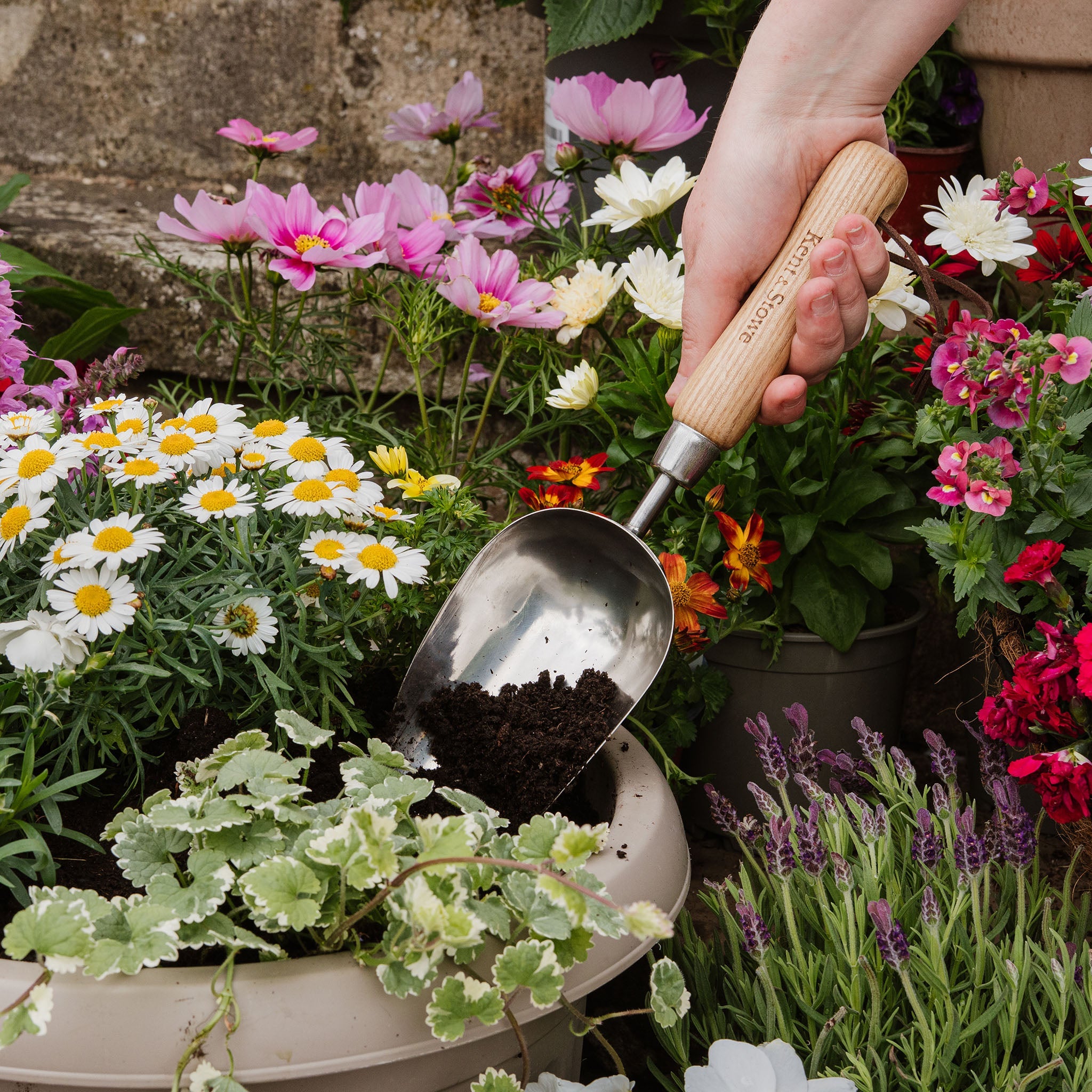 Kent & Stowe Stainless Steel Hand Potting Scoop