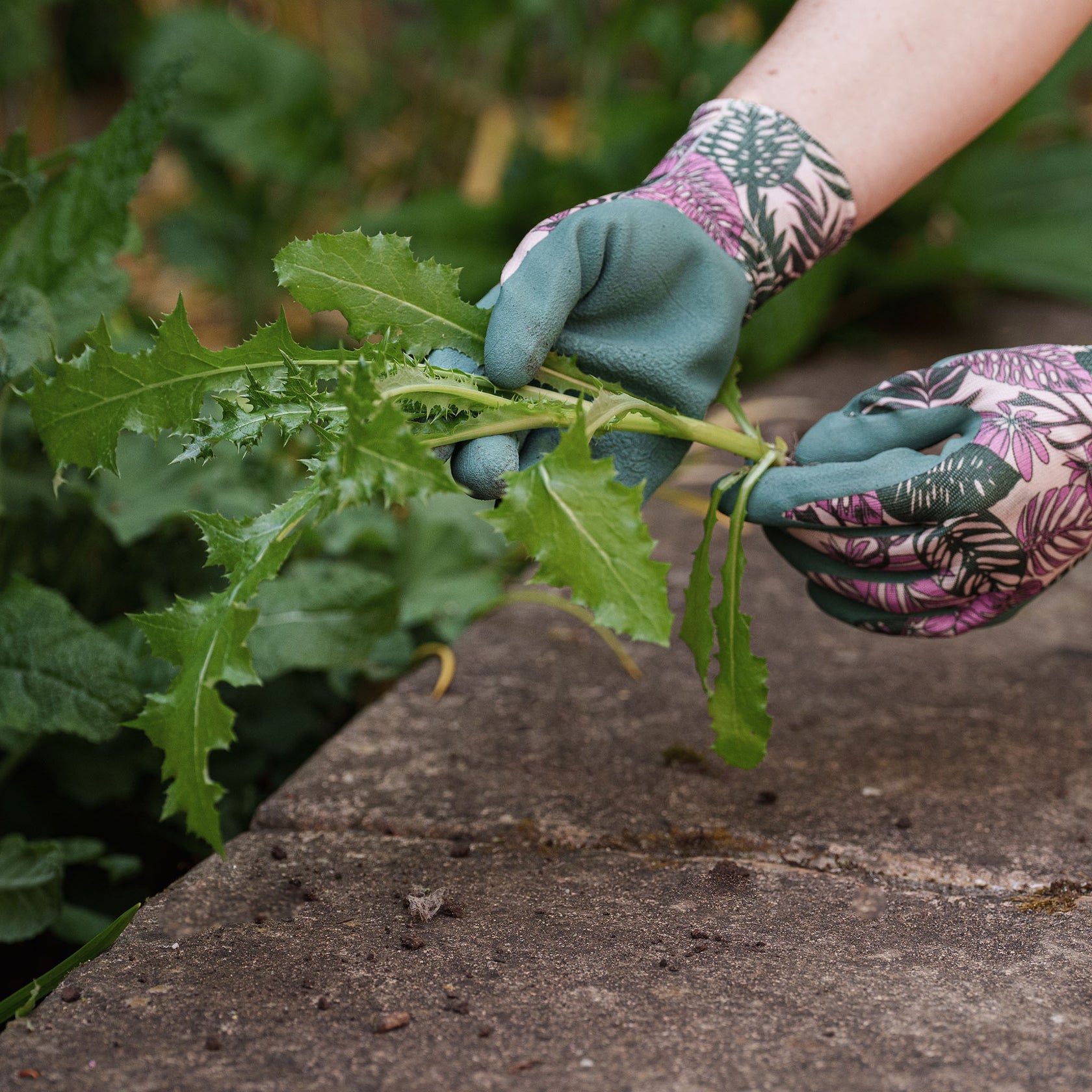 Kent & Stowe Weeding Gloves Botanical Triple Pack
