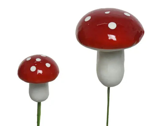 Decoris Mushrooms Single Box Assorted Size