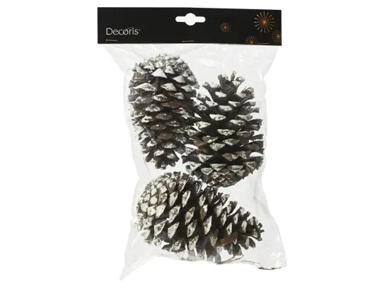 Pinecone Natural White Tips Pack Of 3