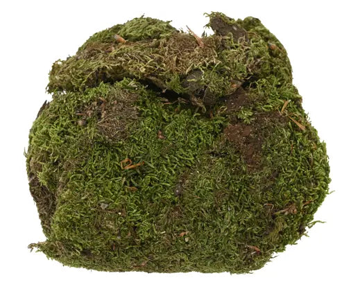 Moss Natural Bag