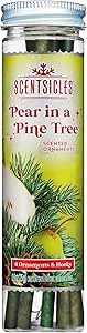 Premier Decorations Scentsicles 6pk