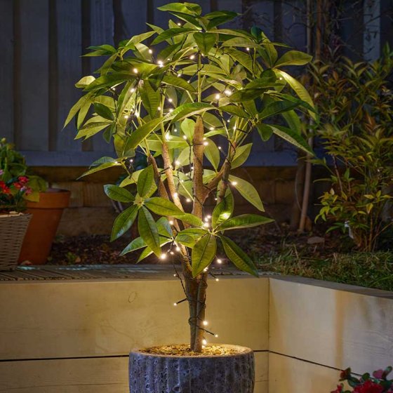 Smart Garden 100 Warm White LEDs String Lights