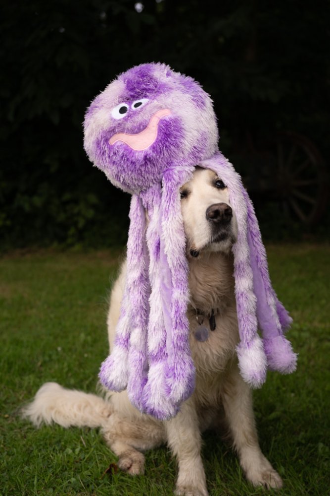 Pet Face Buddies Orla Octopus Plush Dog Toy Large