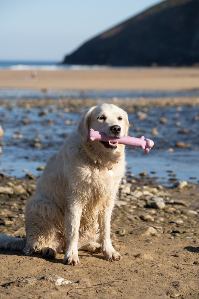 Petface Latex Loofas Single