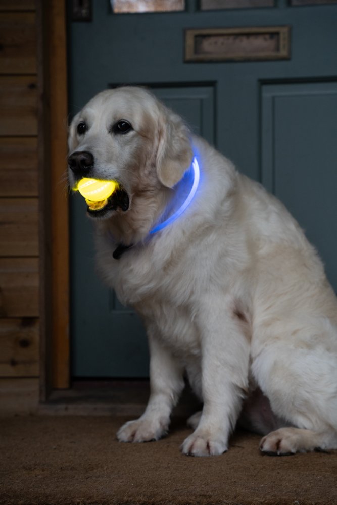 Pet Face Outdoor Paws Usb Rechargeable Glow In The Dark Ball Dog Toy
