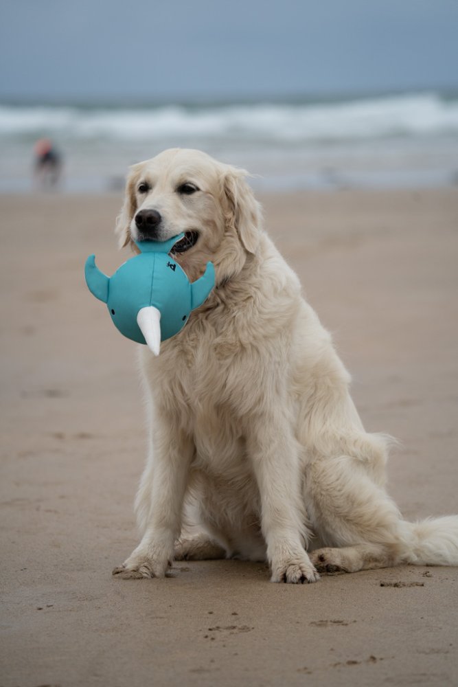 Pet Face Planet Ocean Cycle Niya Narwhal