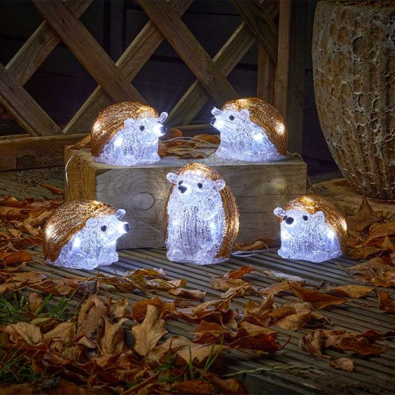 Smart Garden InLit Ice Hedgehogs - Set of 5