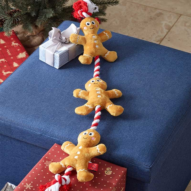 Smart Garden Xmas Tugga - Gingerbread