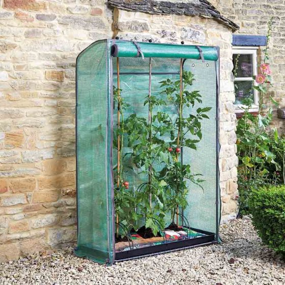 Smart Garden GroZone Tomato