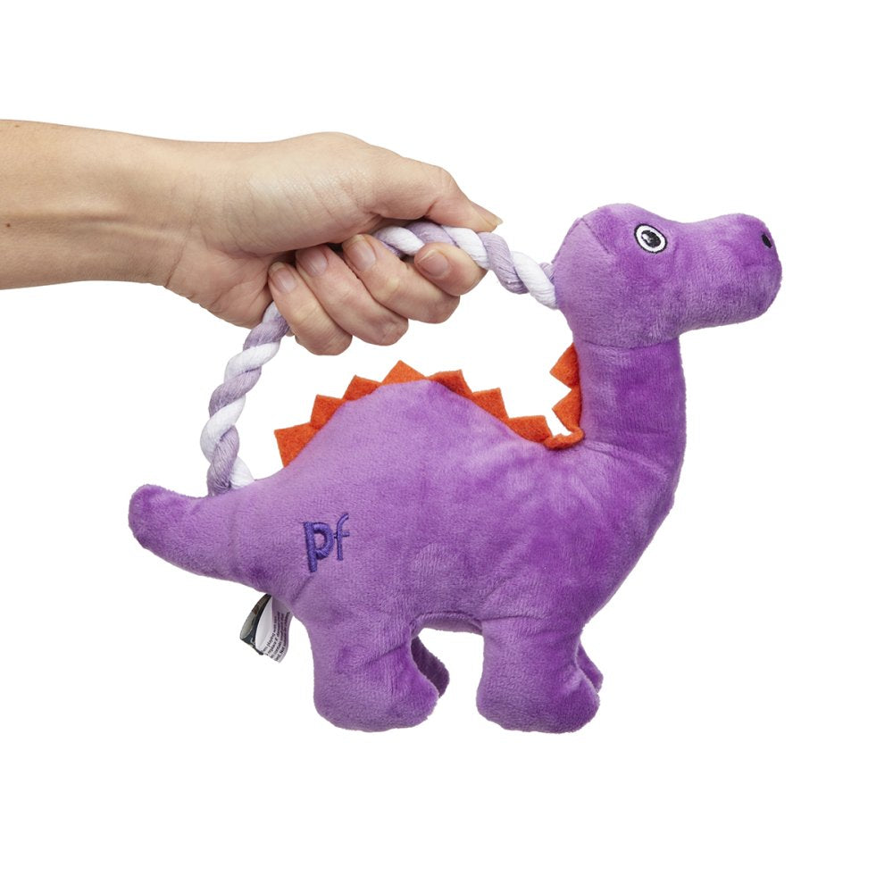 Pet Face Buddies Rope Handle Dinosaur Plush Dog Toy