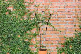 Panacea Ball Fan Pot Trellis Black