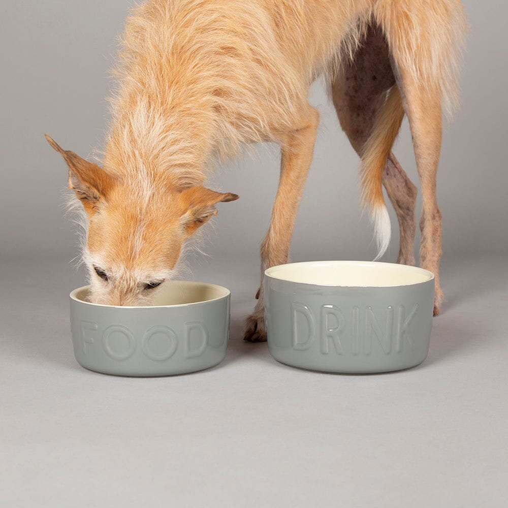 Scruffs Classic Food Bowl 19cm