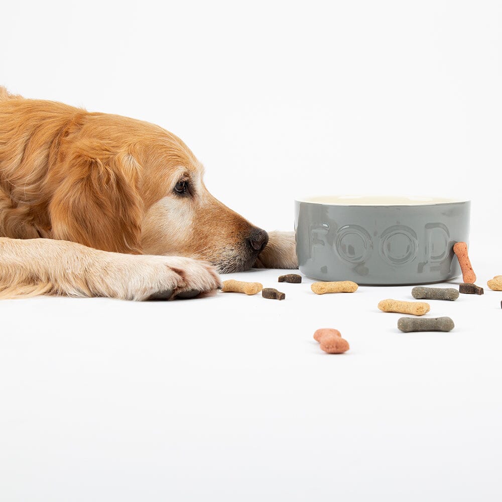 Scruffs Classic Food Bowl 19cm