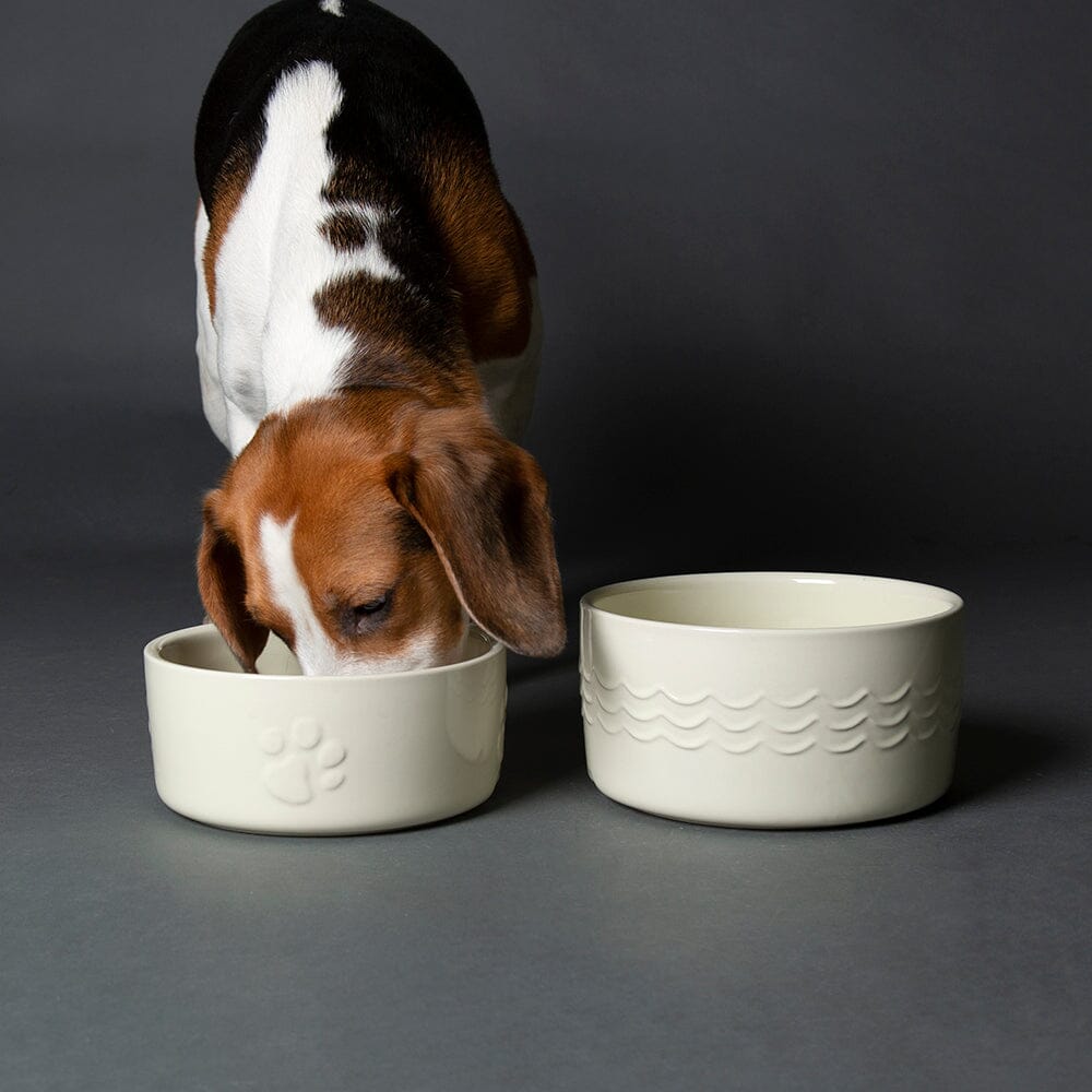 Scruffs Icon Food Bowl Cream