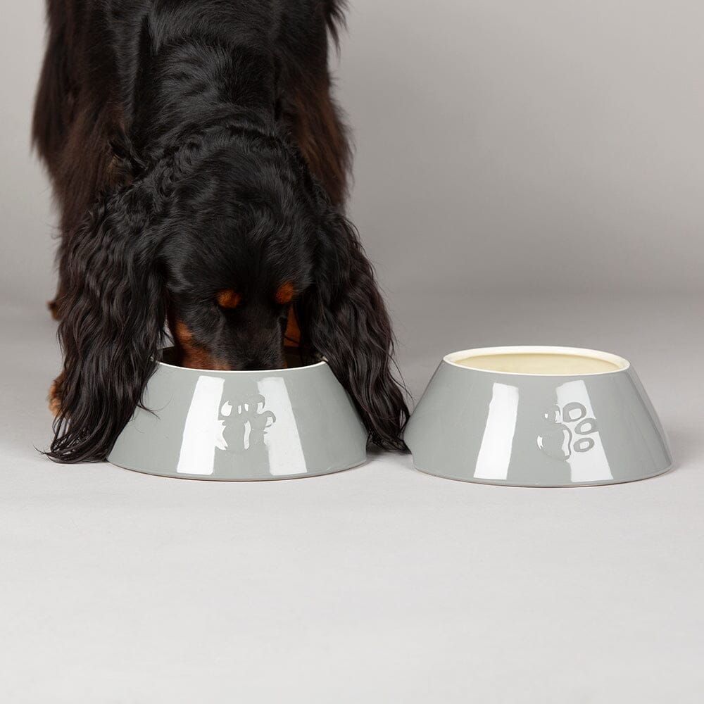 Scruffs Classic Long Eared Dog Bowl 21cm Light Grey